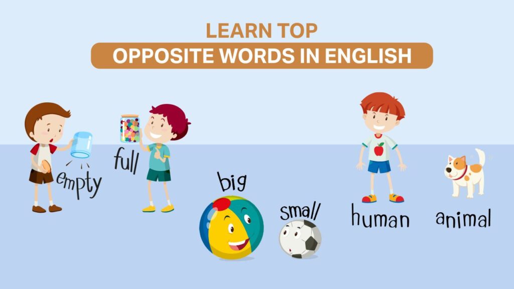 Learn Top Opposite Words in English learn top opposite words in english