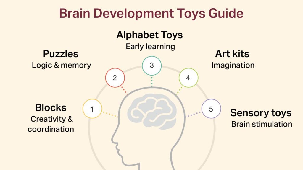 Brain Development Age: A Simple Guide brain development toys guide