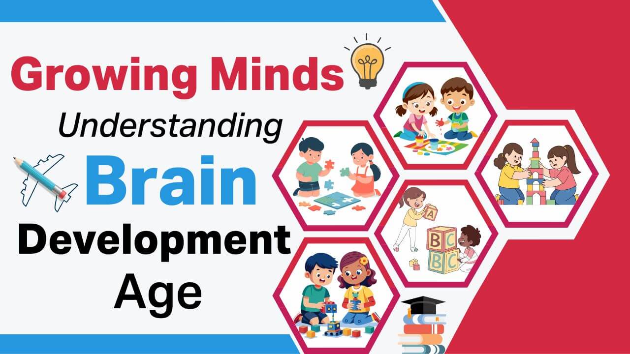 You are currently viewing Brain Development Age: A Simple Guide